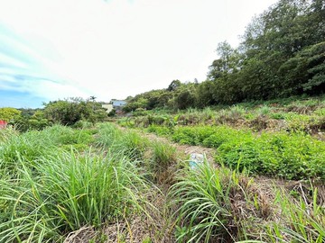 A999稀有三芝市區臨路有穀倉果樹灌溉溝渠土地｜新北市三芝區芝柏