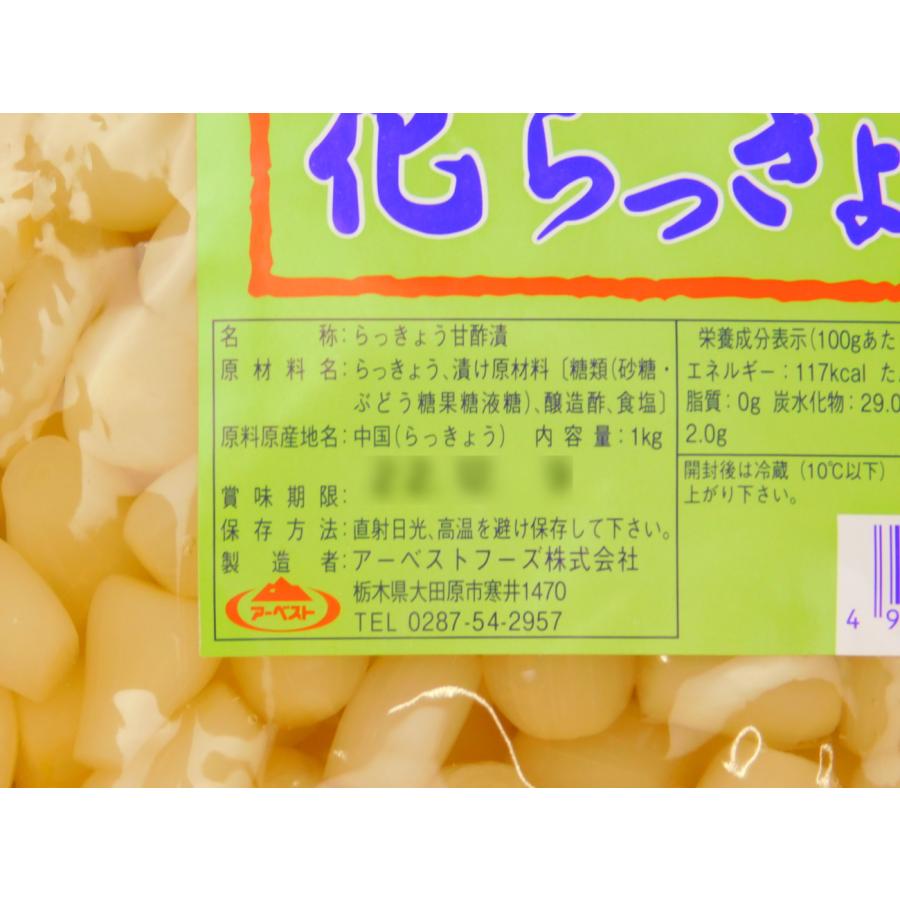 送料無料　らっきょ　らっきょう　花らっきょ　ラッキョウ　業務用　アーベスト　花らっきょう　1kg