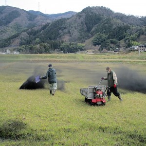 特別栽培米 竹炭米（玄米） コシヒカリ 10kg 数量限定