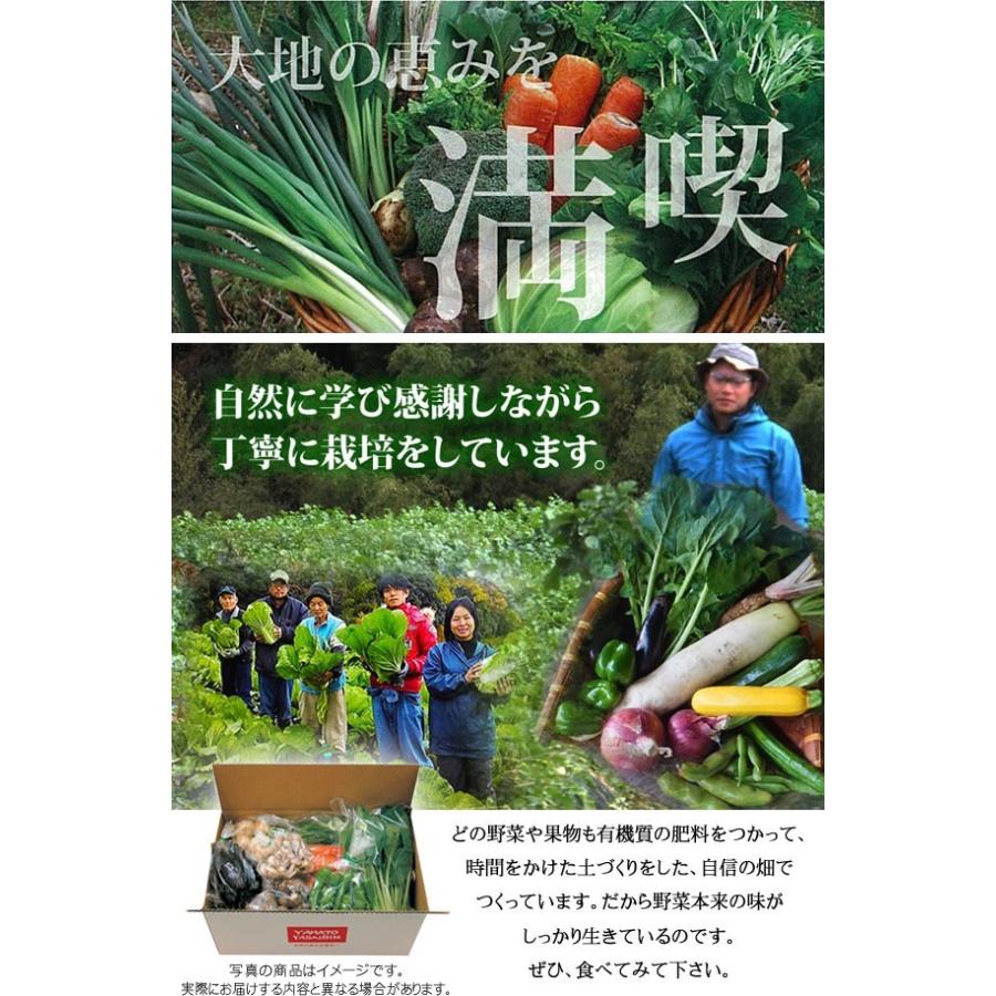 産地直送 旬の野菜セット(8〜10品目)有機質肥料 野菜 詰め合わせ 奈良 和歌山 三重 送料無料