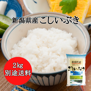 新潟県産 こしいぶき 2kg （2キロ×1袋） 米 2キロ 精米 令和4年 2kg お米 2kg 安い 産地直送 今月精米 令和 5年