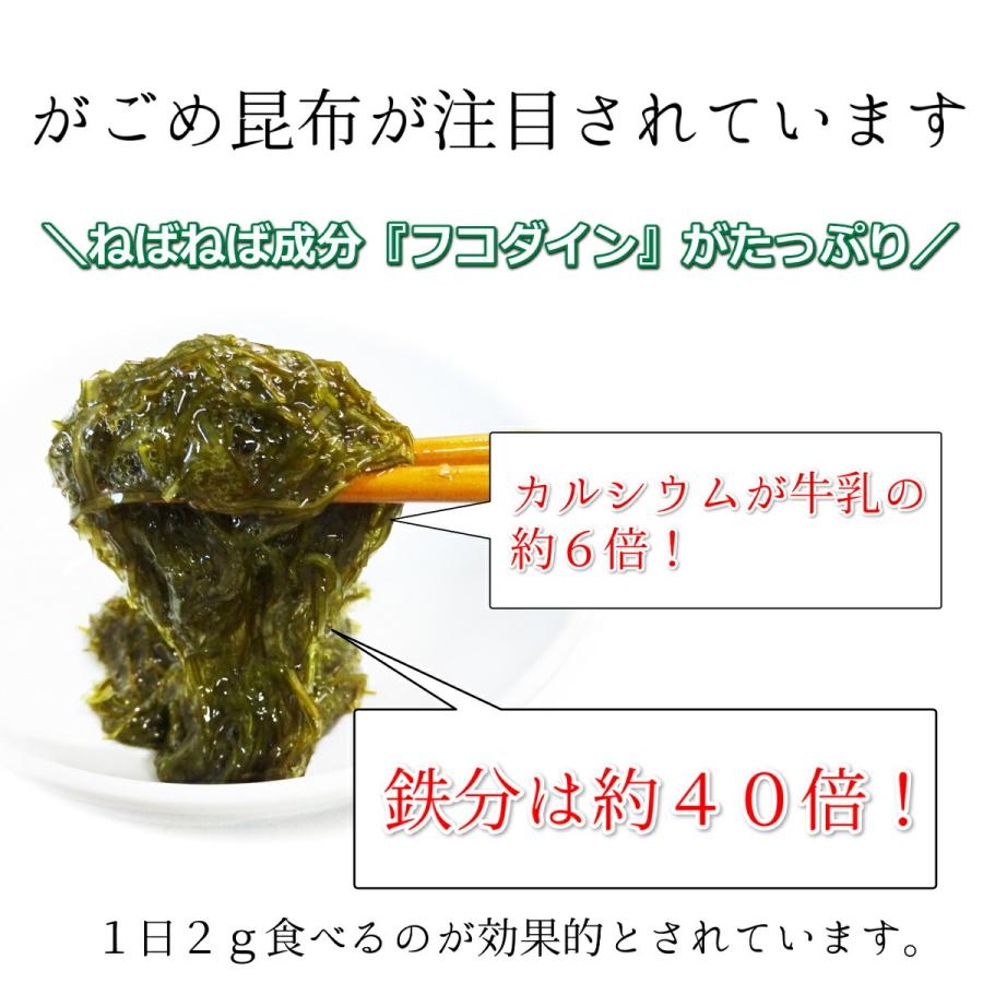 北海道 函館産 かんたん手づくり 松前漬セット 100g ×3袋セット 無添加 がごめ昆布 スルメイカ