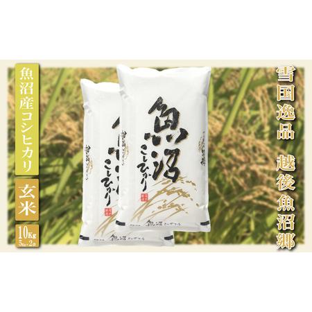 ふるさと納税 令和5年産越後魚沼郷 魚沼産コシヒカリ 新潟県魚沼市