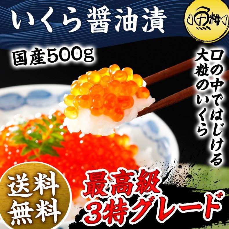 いくら 醤油漬け 500g 国産 最高級3特グレード イクラ お取り寄せグルメ プレゼント お歳暮 2023 ギフト  新物