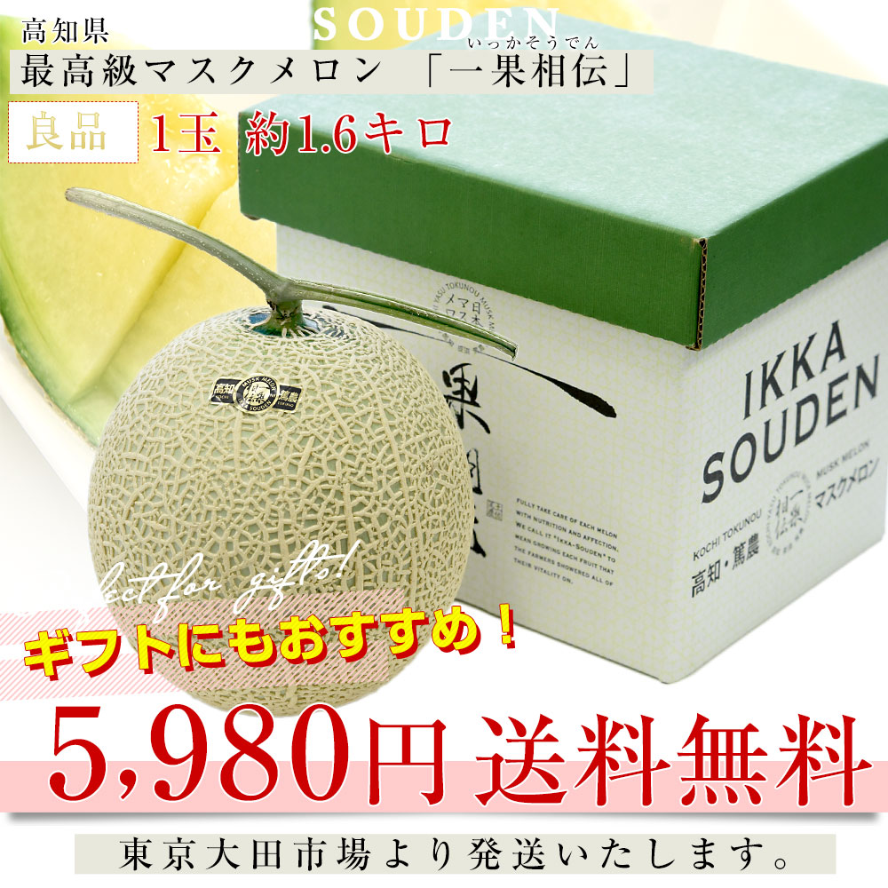 高知県産 高級マスクメロン「一果相伝(いっかそうでん)」良品 1玉 約1.6キロ 化粧箱 送料無料 めろん マスクメロン アールスメロン