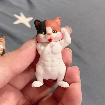 最強肌肉傳說 爆筋 動物 三色貓款
