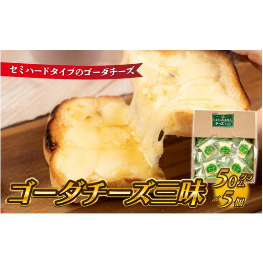 ふるさと納税 島根県 邑南町 ゴーダチーズ三昧　（50g×5個）