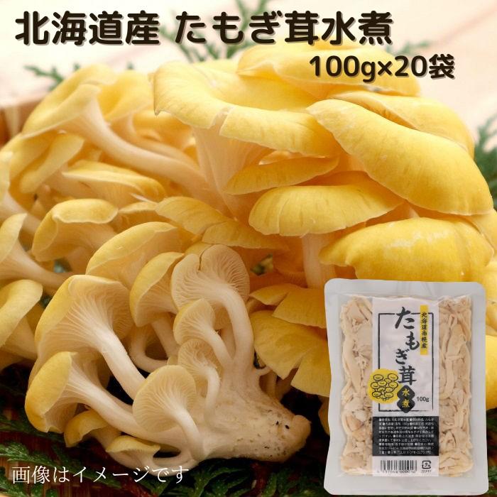 北海道産 たもぎ茸水煮 100g×20袋 送料無料  長期保存 常温 水煮きのこ きのこ 水煮 水煮野菜 野菜  ご当地 たもぎ たもぎ茸 タモギタケ たもぎたけ