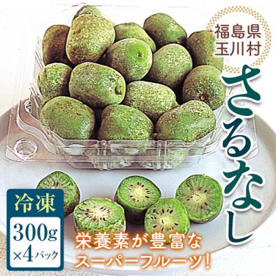 ふるさと納税 玉川村 さるなし 冷凍 1.2kg ベビーキウイ こくわ スーパーフルーツ 福島県 玉川村