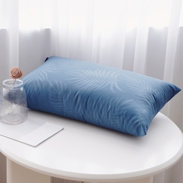 BUHO 可水洗舒眠抗菌機能枕-紳士藍(台灣製)