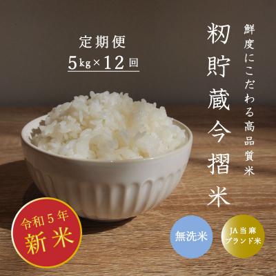 ふるさと納税 当麻町 定期便 無洗米 5kg 12回 籾貯蔵今摺米きたくりん 