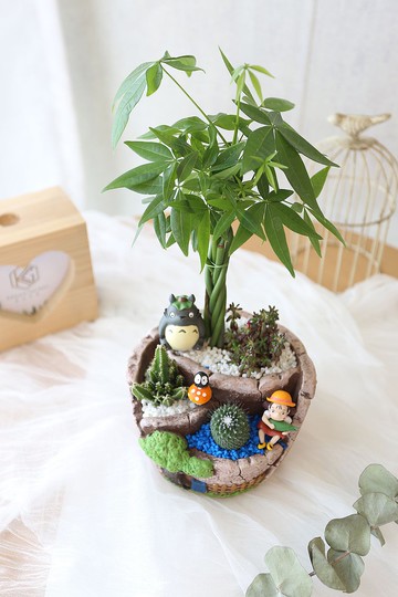 PD11發財樹開運盆栽 / 仙人掌招財盆栽