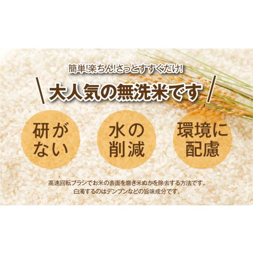 ふるさと納税 福島県 田村市   田村産  ＼定期便6回／ コシヒカリ 1俵 60kg 10kg ずつ 6回 配送ギフト 贅沢 のし対応 １週間…