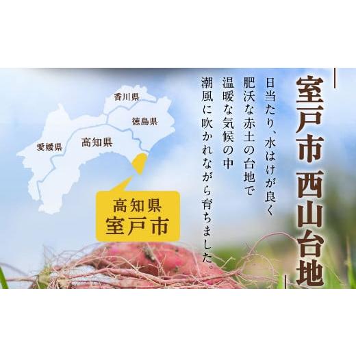 ふるさと納税 高知県 室戸市 西山きんとき芋（サツマイモ）　１０kg