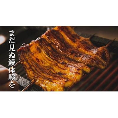 ふるさと納税 牛久市 麻布しきの国産鰻蒲焼×4尾