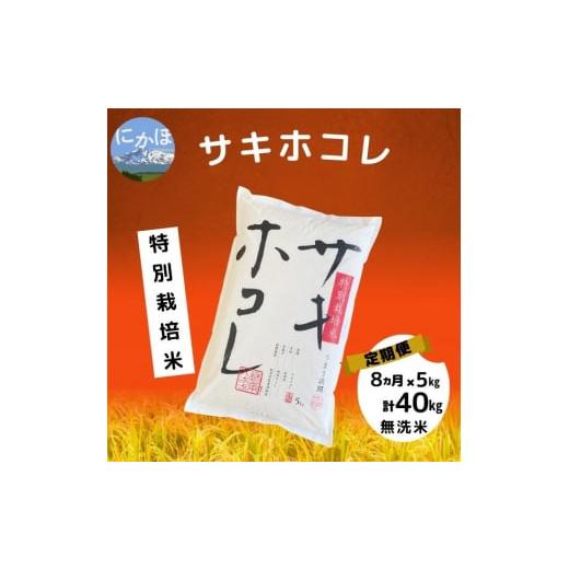 ふるさと納税 秋田県 にかほ市 特別栽培米サキホコレ5kg×8回