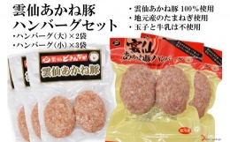 雲仙あかね豚 ハンバーグセット