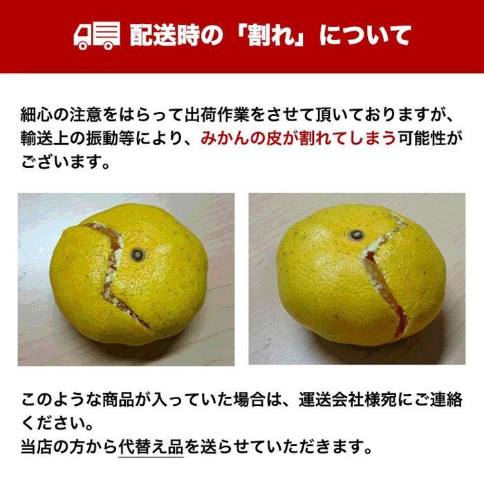 みかん 10kg 訳あり 送料無料 早生 三ケ日みかん 小玉 どうまいらぁ S〜3L サイズ不揃 産地直送 蜜柑 静岡県