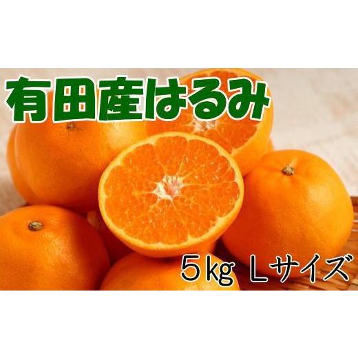 ふるさと納税 和歌山県 有田川町 紀州有田産のはるみ約5kg(Lサイズ) ★2024年1月中旬頃より順次出発送