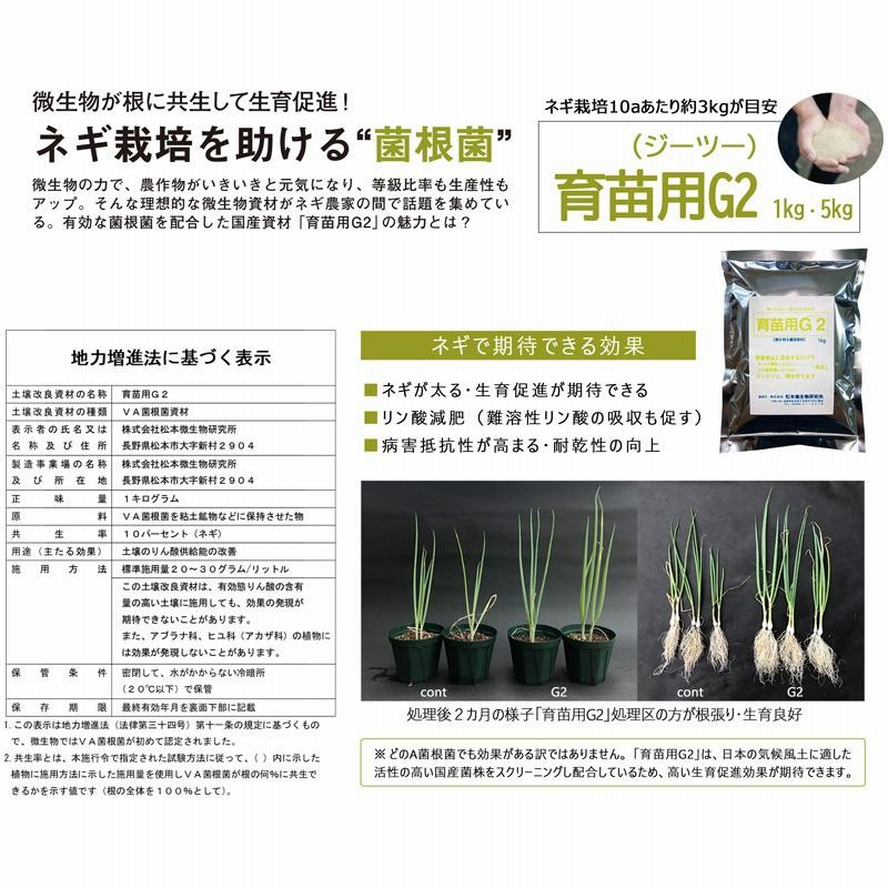 4袋 微生物土壌改良材 育苗用G2 5kg 松本微生物研究所 VA菌根菌