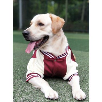 寵物服裝中大型犬金毛拉布拉多狗狗衣服秋冬裝保暖衣棒球服