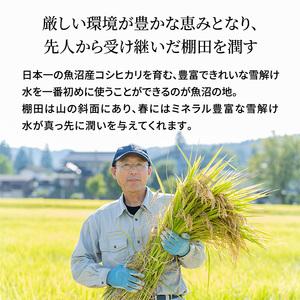 ふるさと納税 定期便 隔月 全6回 お届け 魚沼産 コシヒカリ 精米 5kg 米 お米 こめ コメ おこめ 白米 こしひかり 6ヶ月 30kg お楽しみ 新潟県魚沼市