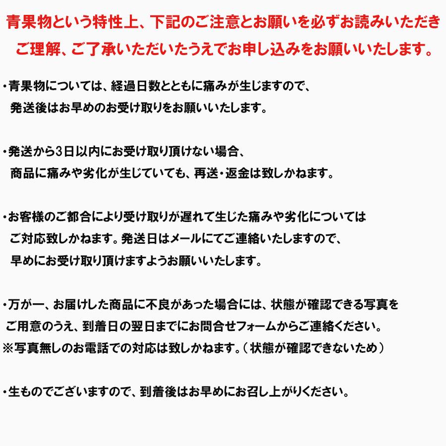 にんにく 青森産 福地ホワイト六片種 バラ 500ｇ 送料無料 訳あり ニンニク 令和5年産 お料理に 青森にんにく