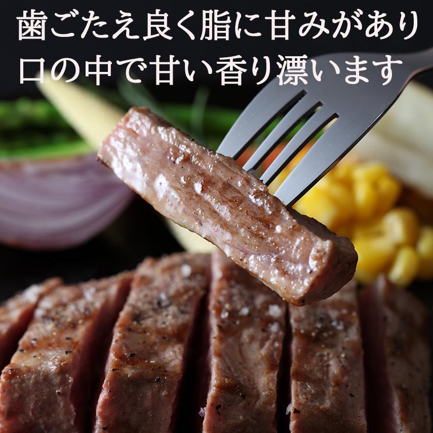 イベリコ豚 肩ロース ステーキ 4枚×150g 豚肉 お肉 食品 食べ物 お取り寄せ グルメ 高級肉 通販