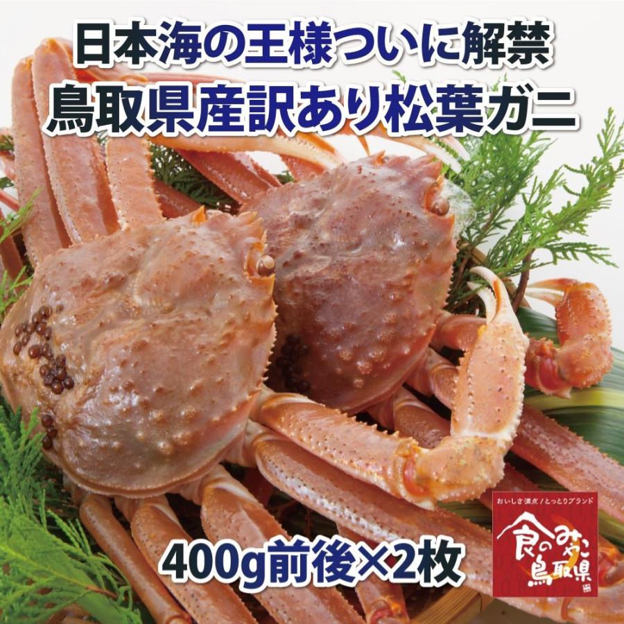 松葉ガニ 訳あり(活)小サイズ2枚で800g前後 1落ち程度