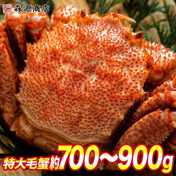 ロシア産 毛ガニ1尾 約700g〜900g 大サイズ 毛蟹 毛がに ケガニ 蟹 カニ かに ギフト