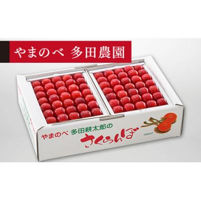 ふるさと納税 中山町 手詰 約500g×2