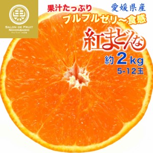 [予約 12月31日必着] 紅まどんな 約2kg 5-12玉 愛媛県 冬ギフト お歳暮 御歳暮 大晦日必着