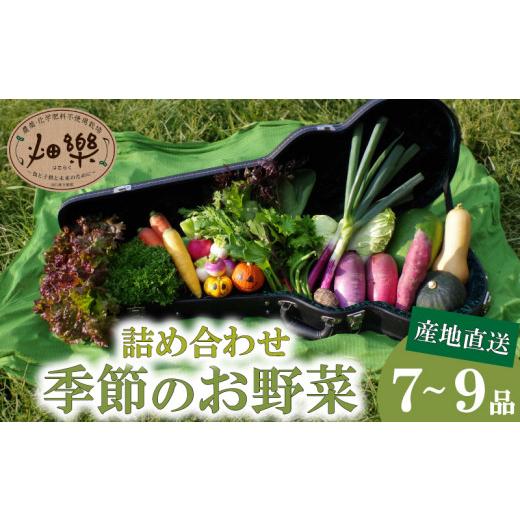 ふるさと納税 山口県 下関市 旬 の 野菜 詰め合わせ セット 品 お楽しみ 産地直送 農家直送 季節 春 夏 秋 冬 露地野菜 やさい サラダ 農薬 化学肥料 不…