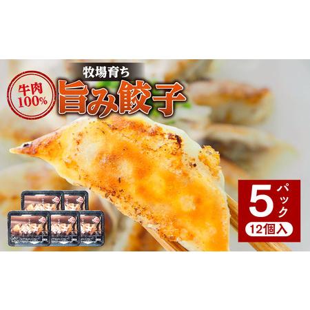 ふるさと納税 牧場育ち 牛肉100％旨み餃子（餃子12個パック×5） 餃子 ぎょうざ 惣菜 牛肉 宮崎県宮崎市