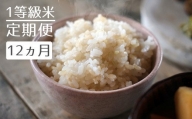 1粒からこだわる1等級米 ヒノヒカリ 玄米(5kg×12回）