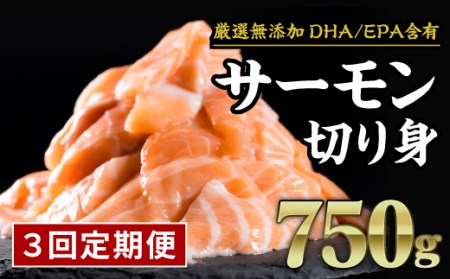 生食用サーモン切り落し　大満足750gセット　OB-26