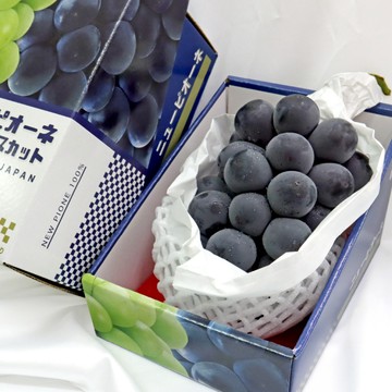 WANG蔬果 【切果季】日本巨峰貓眼葡萄(2房禮盒/約1.4kg)
