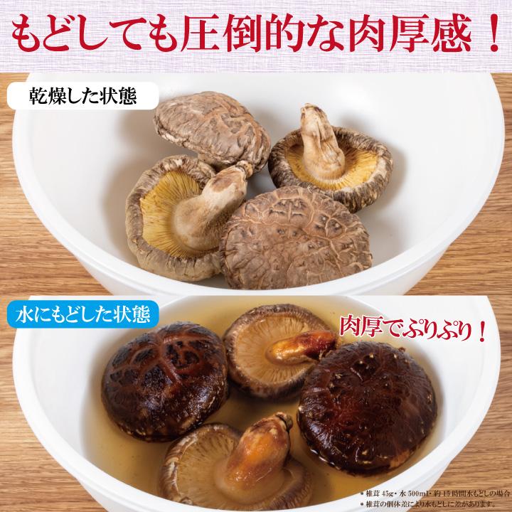 九州産大玉どんこ椎茸300ｇ　干し椎茸 国産 どんこ 肉厚 送料無料