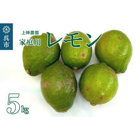 ふるさと納税 家庭用 広島産 レモン 約5kg  広島県呉市