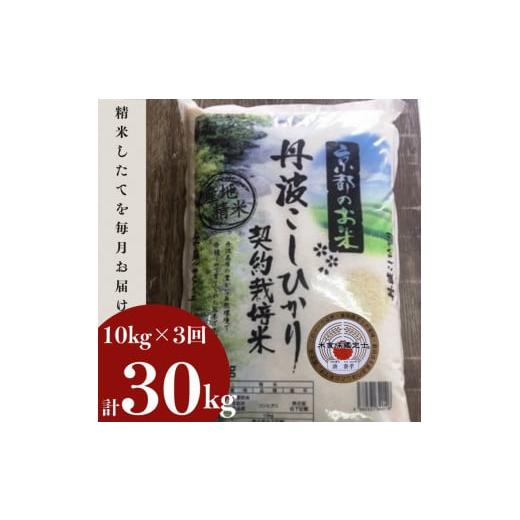 ふるさと納税 京都府 亀岡市 訳あり 定期便 新米 10kg 3ヶ月 京都丹波米 こしひかり 白米 3回定期便 10kg×3回 計30kg ※精米したてをお届け《…