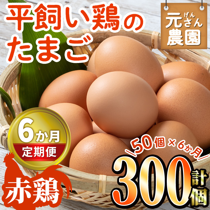 ＜定期便・全6回 (連続)＞平飼い赤鶏のたまご (総量300個・S-Mサイズ50個×6回) 元さん農園 卵 玉子 卵かけご飯 玉子焼き 平飼い 鶏 鶏卵 養鶏場直送 朝採れ 新鮮 大分県 佐伯市 