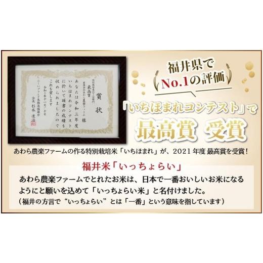 ふるさと納税 福井県 あわら市 《定期便6回》いっちょらい 無洗米 5kg（計30kg） ／ 福井県産 ブランド米 コシヒカリ ご飯 白米 新鮮 大賞 受賞 …