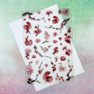 轉印貼紙之 梅花  花卉系列