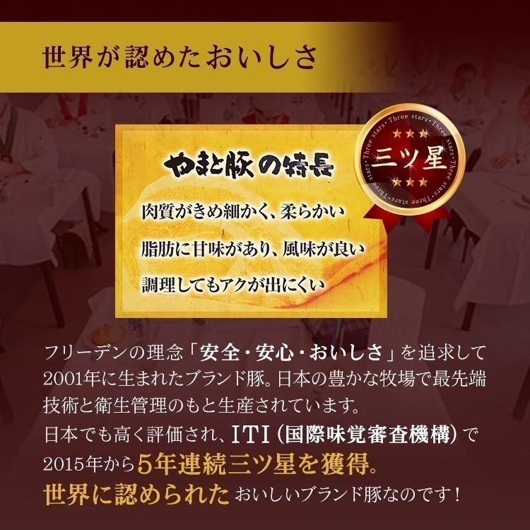 ウインナー ソーセージ 詰め合わせ ギフト 無塩せき NSG-B [冷凍] お歳暮 早割 御歳暮 2023 肉 食品 内祝い ハム 無添加 食べ物 ギフトセット 贈り物 のし