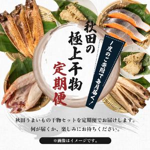 ふるさと納税 《定期便》2ヶ月ごとに4回 干物セット 10品程度(5〜8種)「秋田のうまいものセットA」(隔月) 秋田県にかほ市