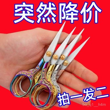 🔥臺灣出貨24H🔥【活動中】德國不銹鋼剪刀辦公文具剪劉海剪綫頭手工剪紙傢用剪子hhfo00