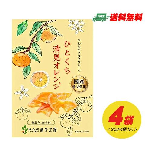 南信州菓子工房 ひとくち清見オレンジ（ドライフルーツ）24g × 4袋 メール便 代引・配達日時指定不可