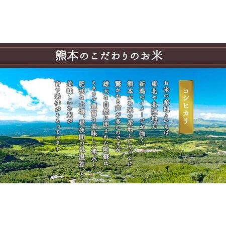 ふるさと納税 令和5年産 阿蘇のお米 コシヒカリ10kg 1袋 白米 熊本県阿蘇市