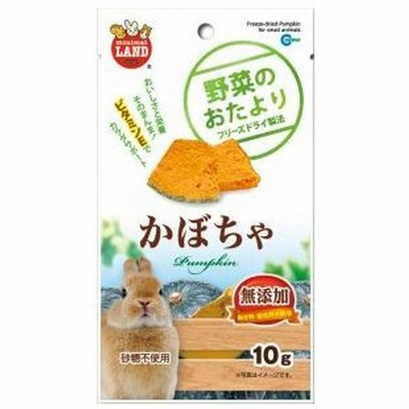 メール便選択可】マルカン 野菜のおたより かぼちゃ 10G うさぎ モルモット おやつ 餌 通販 Lineポイント最大0.5%Get | Lineショッピング