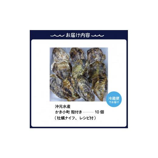 ふるさと納税 広島県 呉市 沖元水産 かき小町 殻付き 牡蠣 10個 牡蠣ナイフ、レシピ付